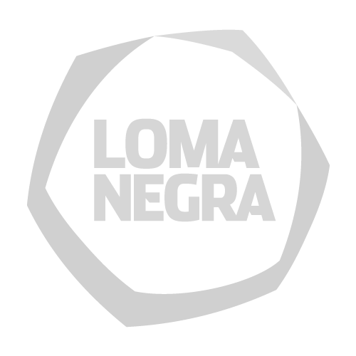 app para gestion comercial loma negra